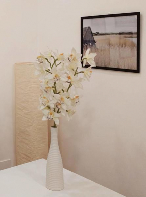 The Smart Choice Apartments Florence